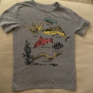 J crew Crewcuts Boys short sleeve T-shirt